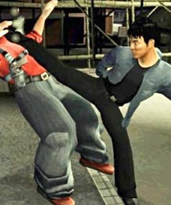 Alternative view of Jet Li Rise to Honor