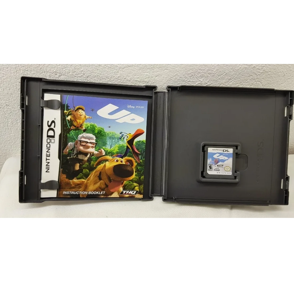 Up Nintendo Ds - Imagen 3